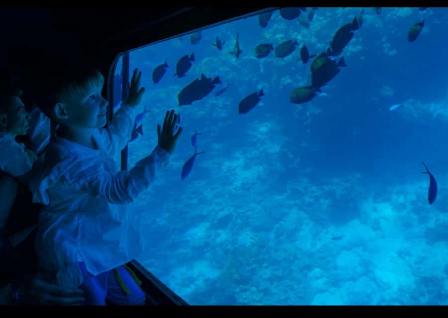 From Safaga: Royal Seascope Submarine with Snorkeling - From Safaga to Makadi Bay