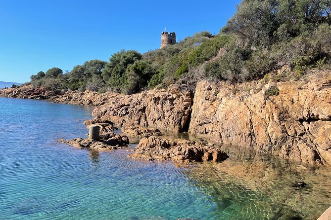 From Sagone/Cargèse: Coves of Piana sea cave Snorkeling - Is $57.80 a Fair Price?