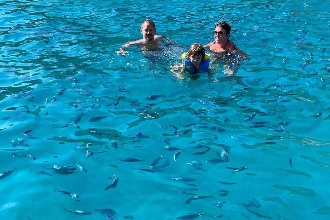 From Sagone/Cargèse: Scandola Girolata Calanques Piana Snorkeling - Guide style, language, and group atmosphere
