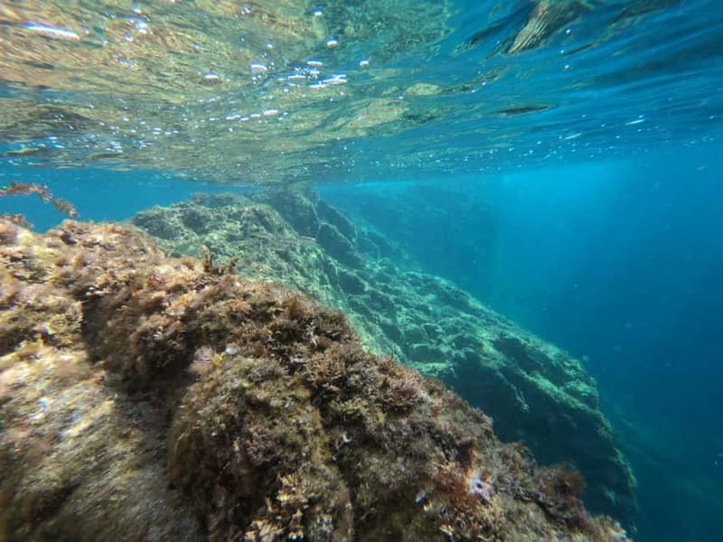 From Sant Feliu de Guíxols: Kayak and Snorkel in Costa Brava - Is $35 a good price?