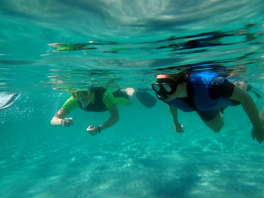 From Santa Pola: Snorkel Trip in Tabarca Island - From Santa Pola to Tabarca by boat