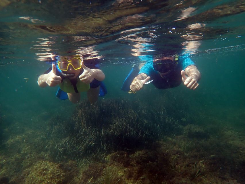 From Santa Pola: Snorkel Trip in Tabarca Island - Who will get the most from this outing?