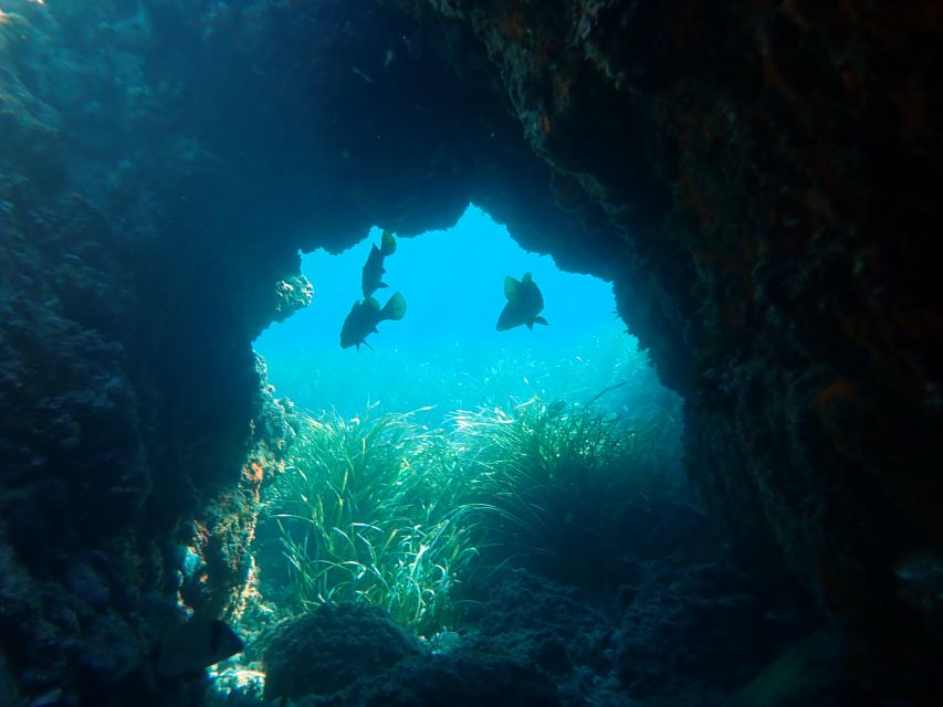 From Santa Pola: Snorkel Trip in Tabarca Island - Getting ready with the mask and snorkel