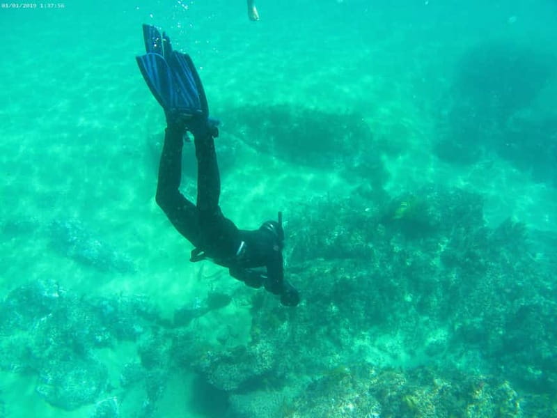 From Sesimbra: Sea Scooter Snorkeling boat Tour - Who should book this Sesimbra experience