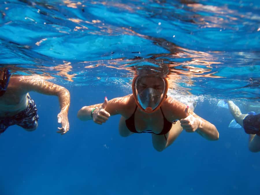 From Sharm: Half day Snorkeling Trip with Lunch - Key points to know before booking