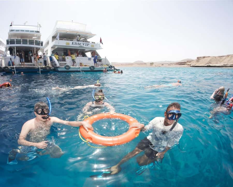 From Sharm: Half day Snorkeling Trip with Lunch - What to expect at the reef stop