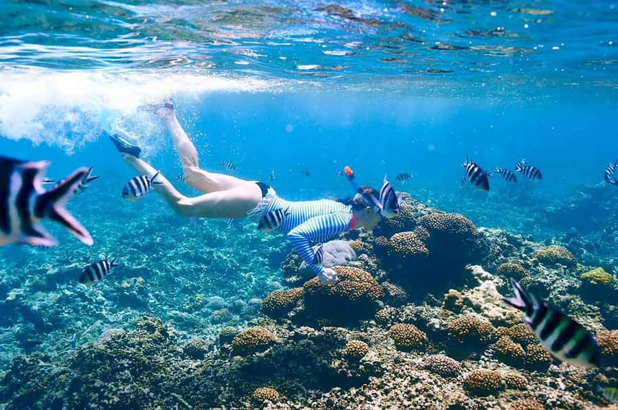 From Sharm: Ras Mohammed snorkeling cruise & optional diving - The second reef stop and White Island possibility
