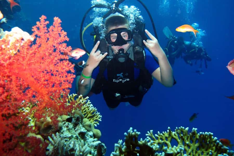 From Sharm: Ras Mohammed snorkeling cruise & optional diving - The optional introductory scuba session