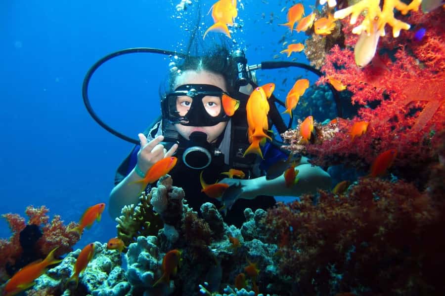 From Sharm: Ras Mohammed snorkeling cruise & optional diving - Boat comfort, guides, and service