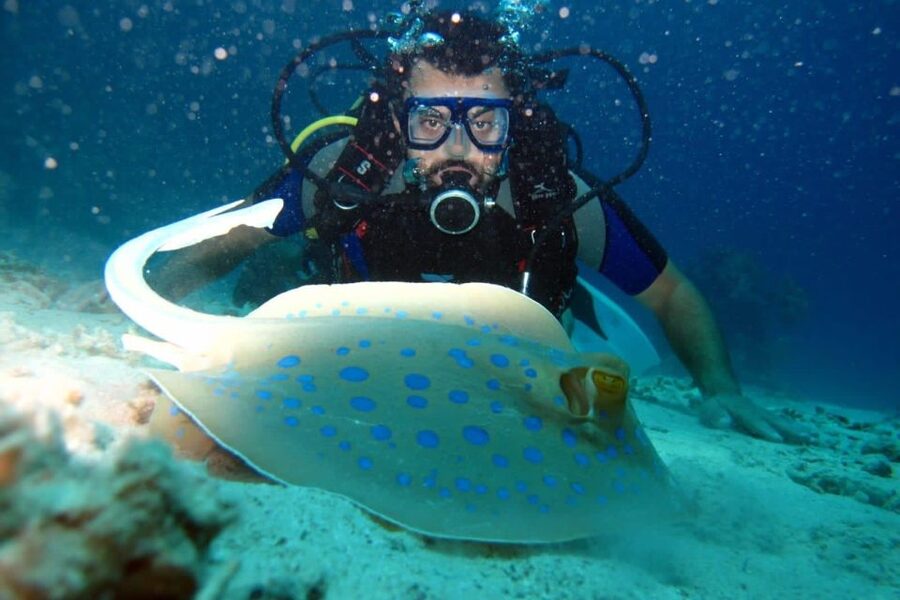 From Sharm: Ras Mohammed snorkeling cruise & optional diving - Is $31 a good value for seven hours?