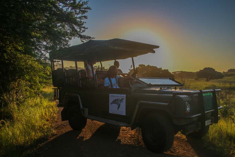 From St Lucia: Cape Vidal Full-Day Snorkeling Safari - Game viewing in iSimangaliso Wetland Park