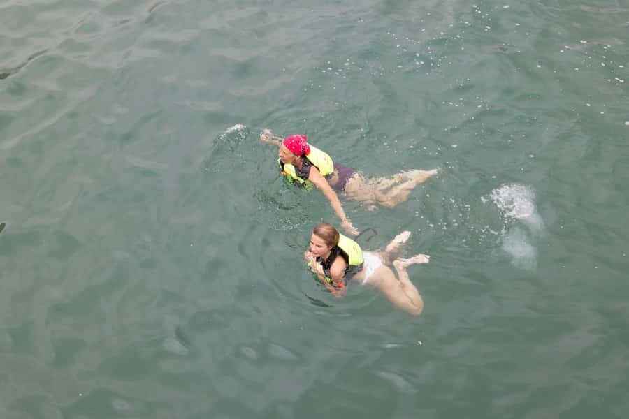 From UAE: Musandam Dibba Day Trip (Oman) - Dolphins are possible, but never promised