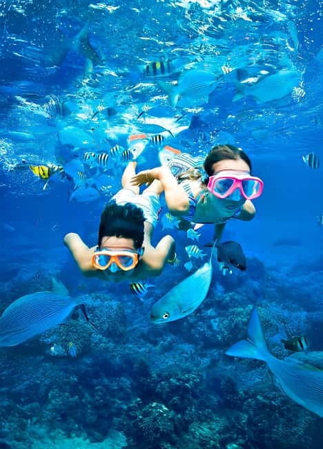 From Uppuveli Beach: Pigeon Island Snorkeling Tour - Key points to know before booking