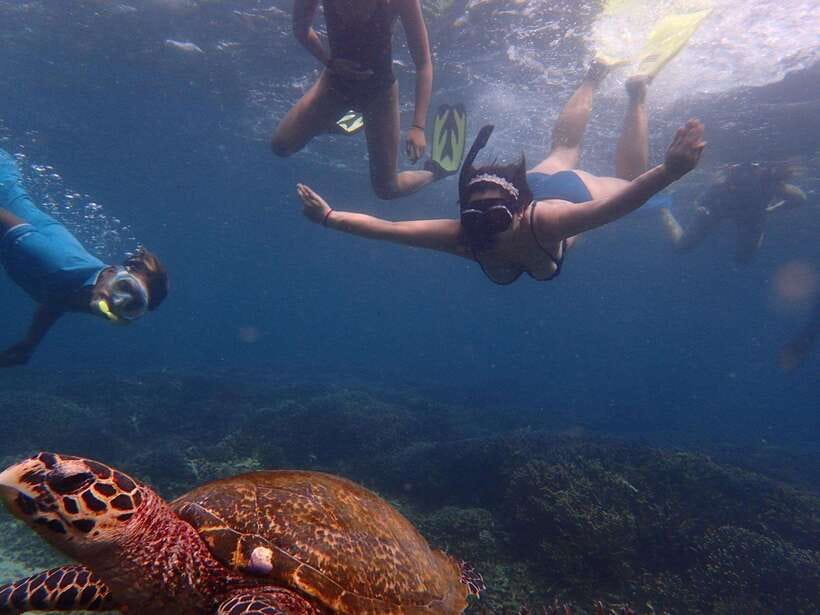 From Uppuveli Beach: Pigeon Island Snorkeling Tour - From Uppuveli Beach to Pigeon Island in 30 minutes