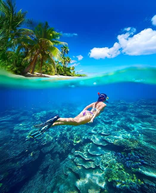 From Uppuveli Beach: Pigeon Island Snorkeling Tour - Your first guided swim around the reef