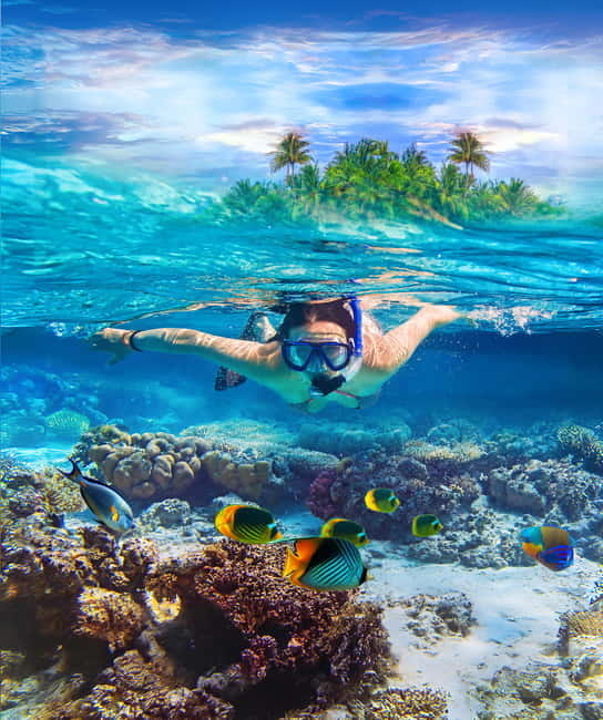From Uppuveli Beach: Pigeon Island Snorkeling Tour - What makes Pigeon Island worth the trip