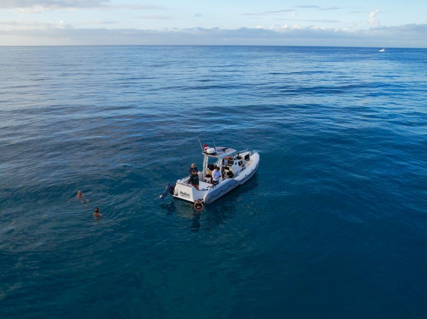 From Waikiki: Turtle Canyon Snorkeling Tour - Turtle Canyon and 50 minutes in the water