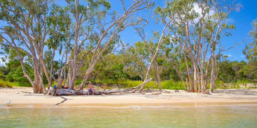 From Yeppoon: Great Keppel Island Snorkeling Hire with Lunch - What this Great Keppel Island trip really is