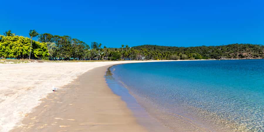 From Yeppoon: Great Keppel Island Snorkeling Hire with Lunch - Choosing the 2pm or 4pm ferry
