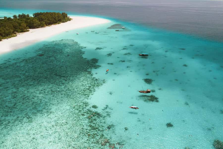From Zanzibar: Mnemba Boat Tour with Snorkeling & Dolphine - Setting out from Nungwi or Kendwa