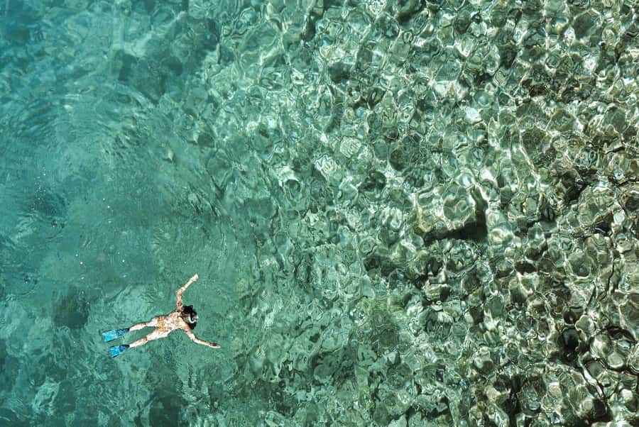From Zanzibar: Mnemba Boat Tour with Snorkeling & Dolphine - Booking details worth checking