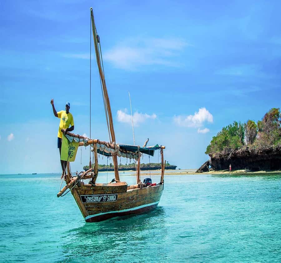 From Zanzibar: Safari Blue Snorkeling Trip with Lunch - Key points to know before booking