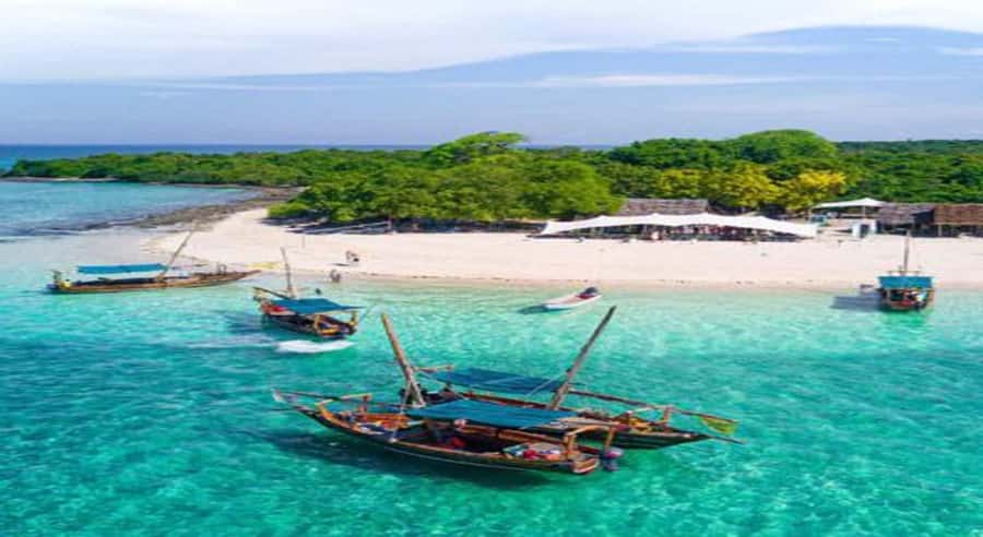 From Zanzibar: Safari Blue Snorkeling Trip with Lunch - What the Safari Blue day is really about