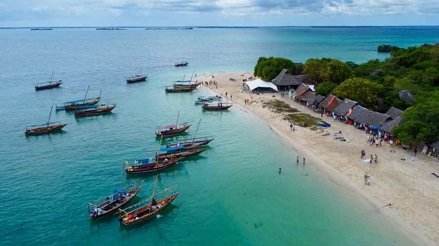 From Zanzibar: Safari Blue Snorkeling Trip with Lunch - Seafood barbecue and island lunch