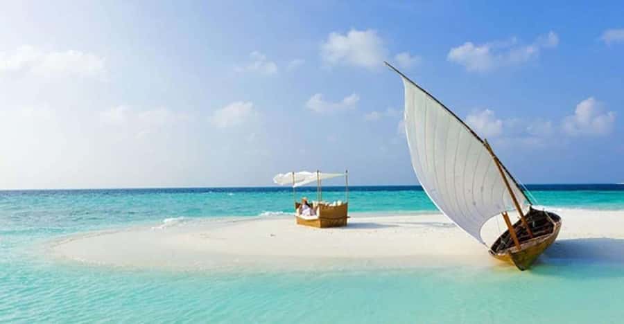 From Zanzibar: Safari Blue Snorkeling Trip with Lunch - Extra fees and what the $99 price covers