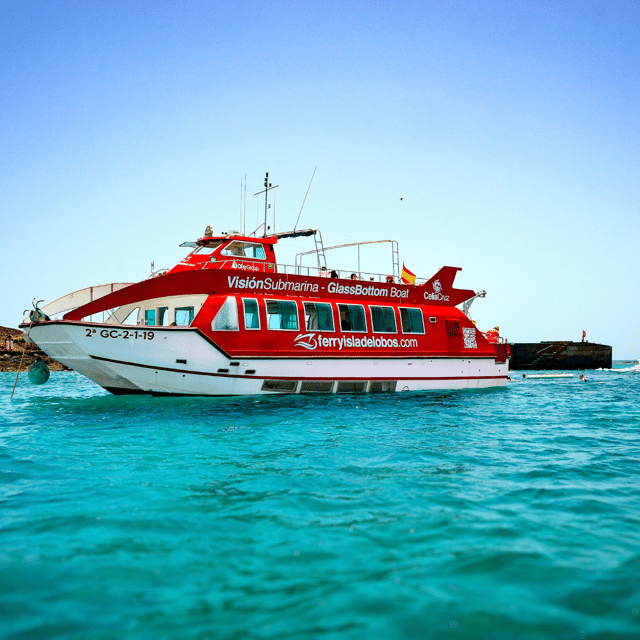 Fuerteventura: 1-Hour Mini Swim & Snorkel Cruise - Key points to know before you book