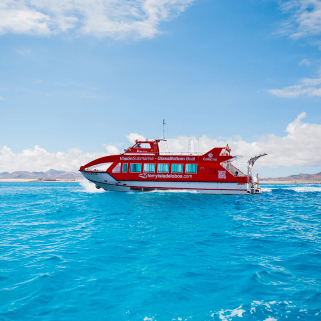 Fuerteventura: 1-Hour Mini Swim & Snorkel Cruise - What happens on the water