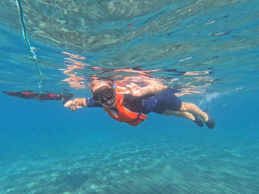 Fuerteventura: Guided Snorkeling in La Lajita with Pickup - Key points to know before booking