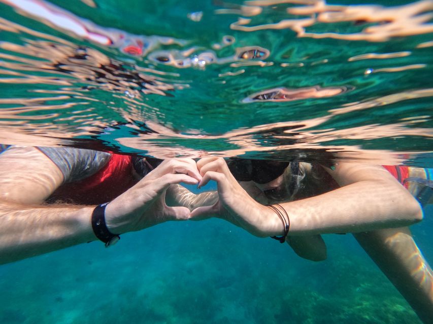 Fuerteventura: Guided Snorkeling in La Lajita with Pickup - Why La Lajita makes sense for a first snorkeling session