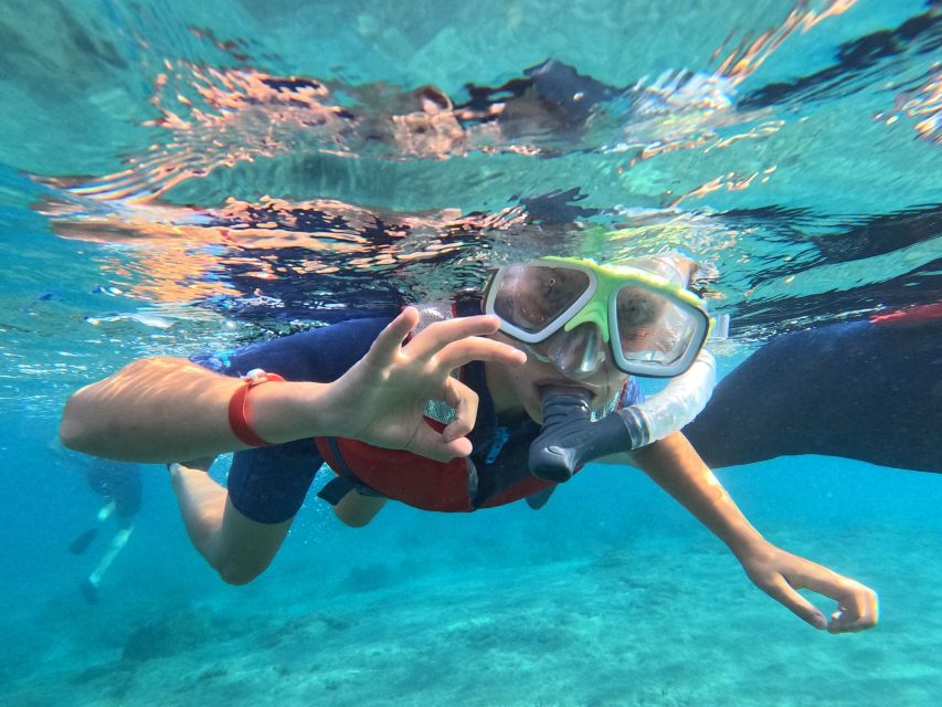 Fuerteventura: Guided Snorkeling in La Lajita with Pickup - Is $46 good value?