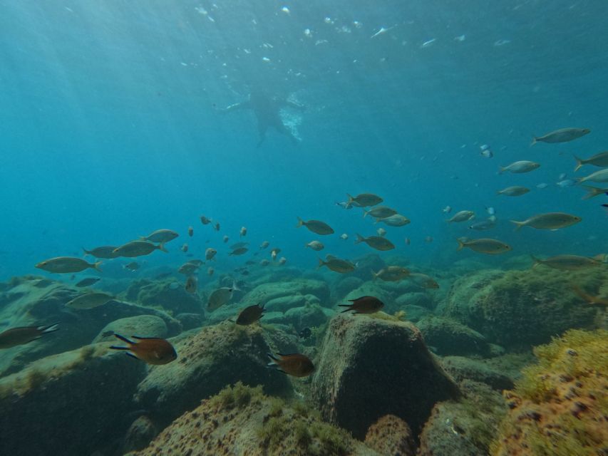 Fuerteventura: Guided Snorkeling in La Lajita with Pickup - The briefing and equipment setup