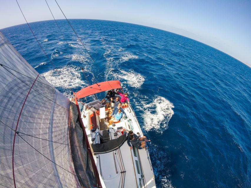 Fuerteventura: Sailing with Snorkeling and Dolphin Watching - Dolphin and Whale Watching Near Fuerteventura