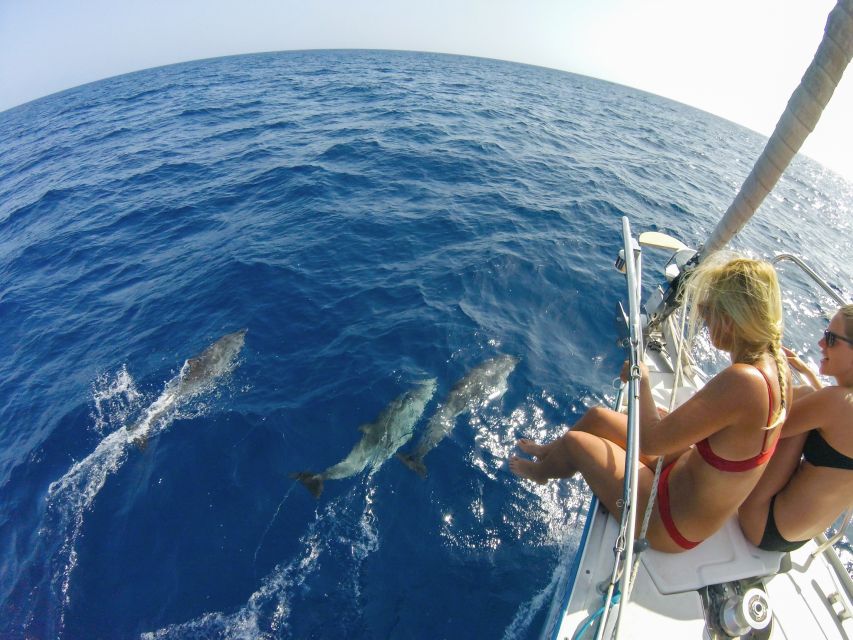 Fuerteventura: Sailing with Snorkeling and Dolphin Watching - Practical Details That Make the Day Better