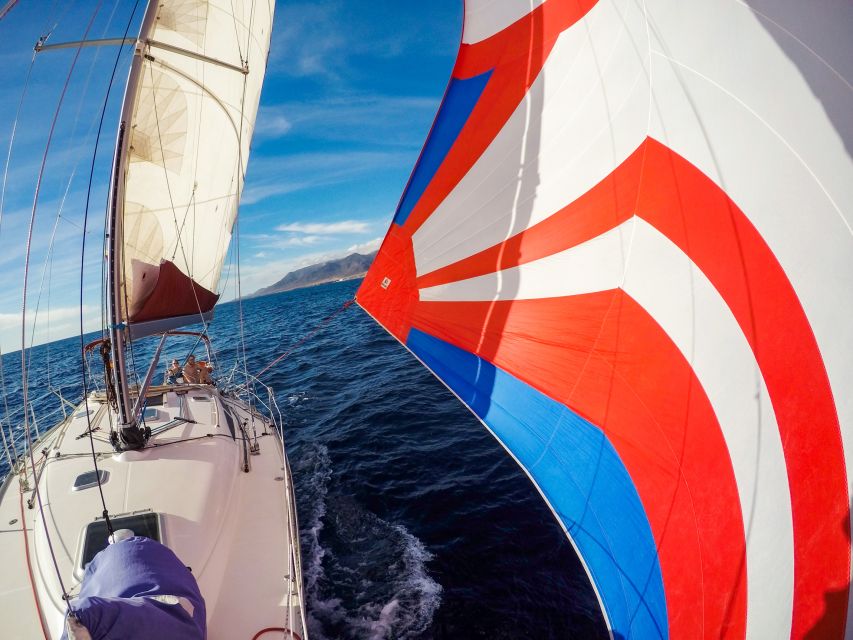 Fuerteventura: Sailing with Snorkeling and Dolphin Watching - Should You Book This Sailing Trip?