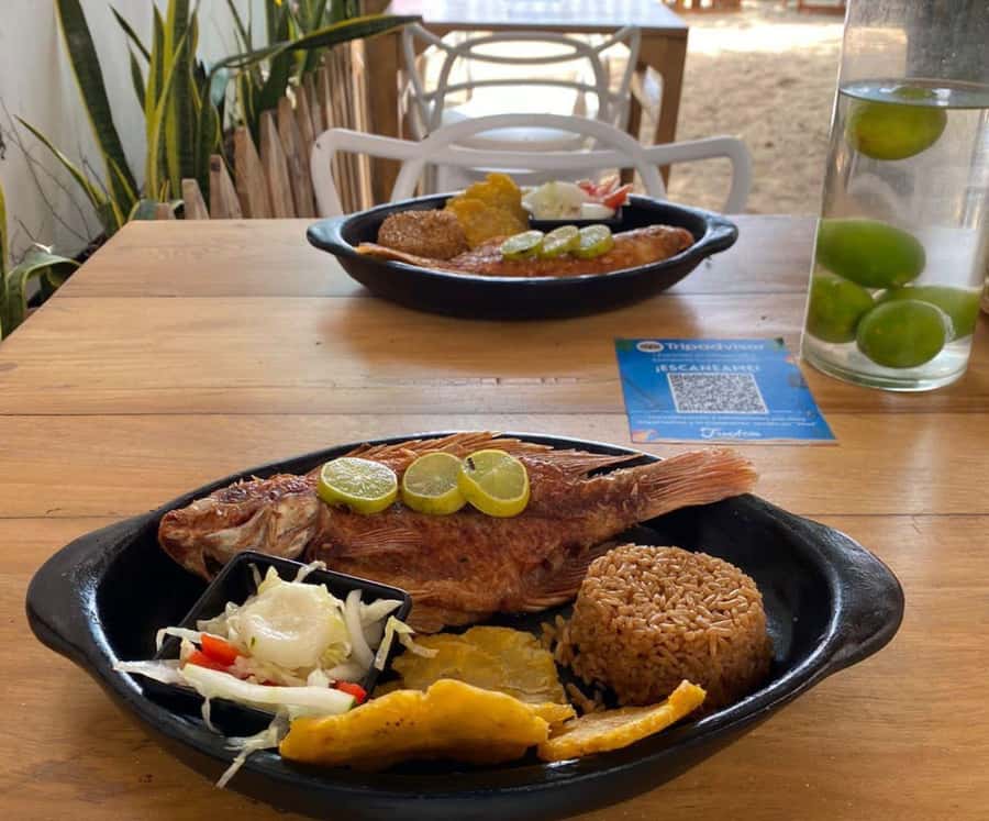 Full Day Barú island: Mangrove +Snorkel + Sunset + Plankton - Lunch brings coconut rice and island basics