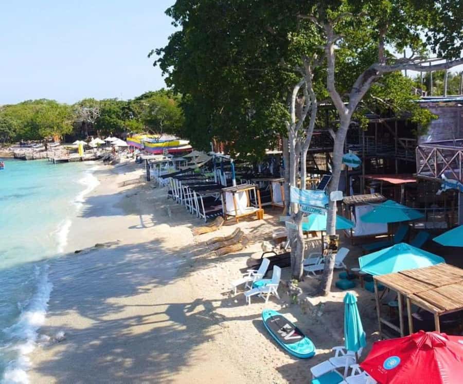 Full Day Barú island: Mangrove +Snorkel + Sunset + Plankton - The plankton swim is the tour’s main event