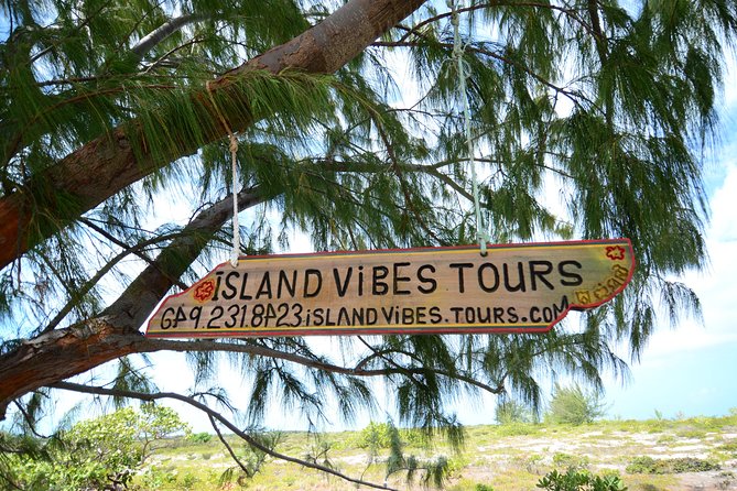 Full Day Beach BBQ Lunch & Snorkeling Excursion in Grace Bay - Snorkeling the barrier reef