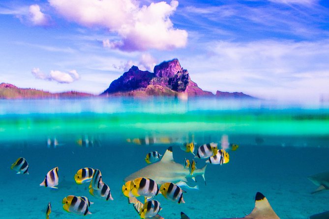 Full-Day Bora Bora Lagoon Cruise Including Snorkeling with Sharks and Stingrays - Key points to know before you book