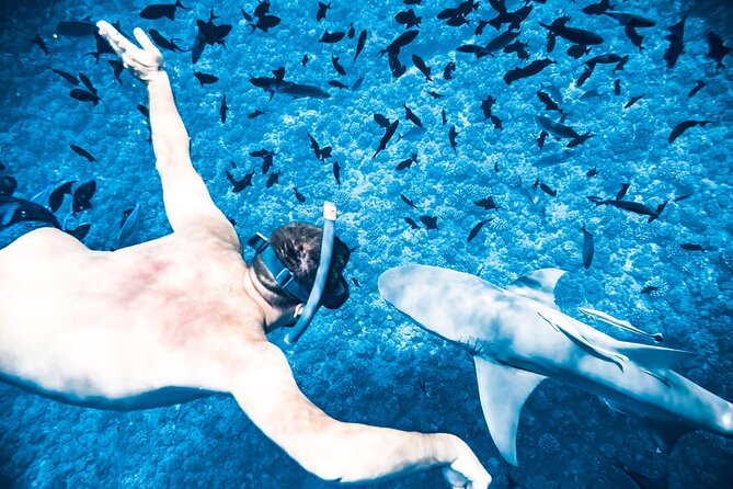 Full-Day Bora Bora Lagoon Cruise Including Snorkeling with Sharks and Stingrays - Lunch on a private motu with a local family feel