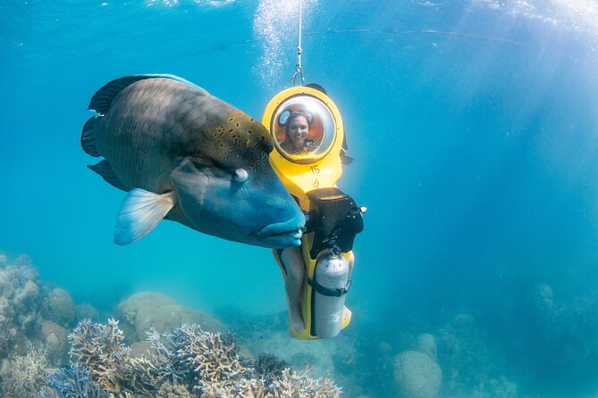 Full-Day Great Barrier Reef Pontoon with Snorkeling & Activities - Should you book this Cairns reef day?