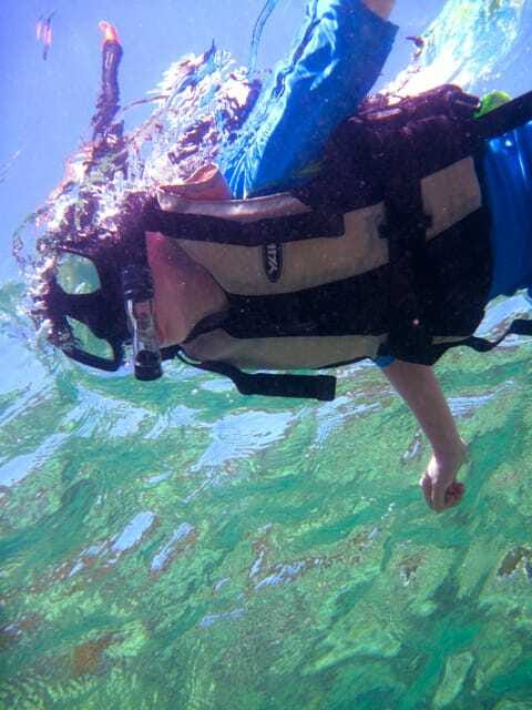 Full-Day Guided Snorkeling Tour from Kota Kinabalu - Key points to know before booking