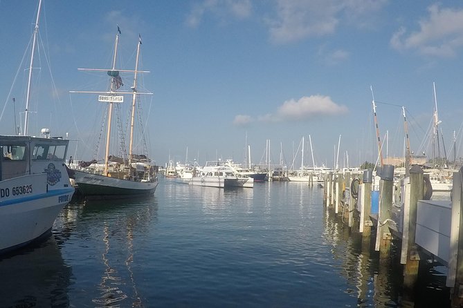 Full-Day Key West Tour and Coral Reef Snorkeling with Open Bar - What the $99 price really covers