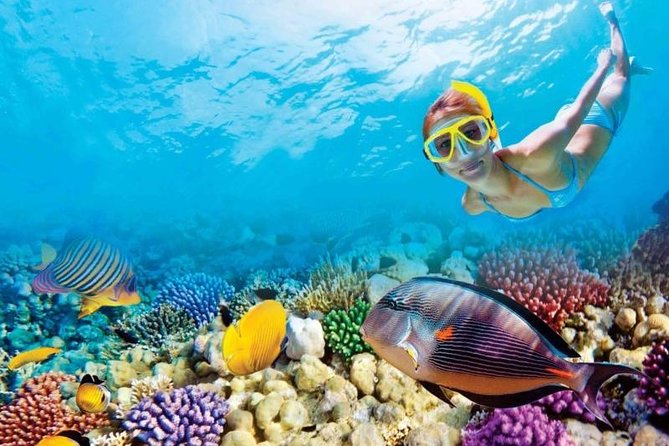 Full-Day Key West Tour and Coral Reef Snorkeling with Open Bar - Arriving in Key West with time to choose your own plan