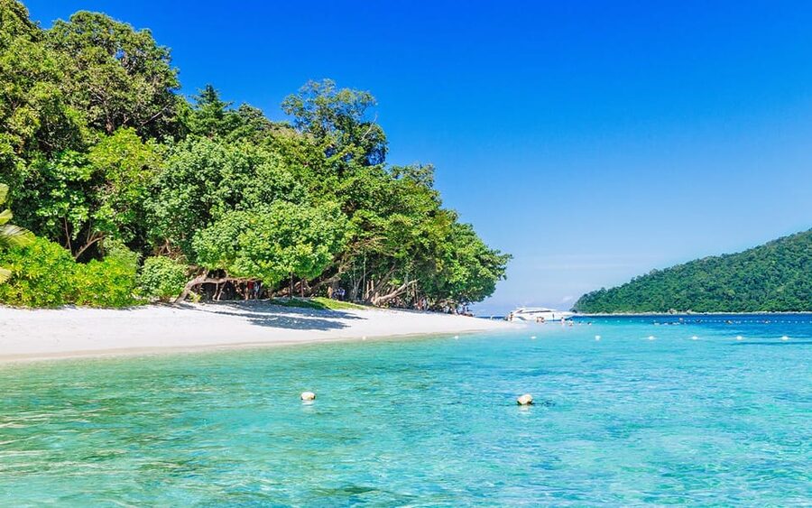 Full-Day Koh Lipe 5 points Snorkeling (East Zone) with Lunch - The real issue is guiding, not the scenery