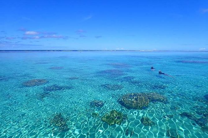 Full-Day Private Boat Tour of Bora Bora Lagoon with Snorkel - What the Private Price Buys You