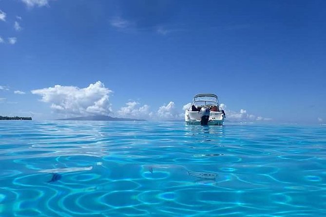Full-Day Private Boat Tour of Bora Bora Lagoon with Snorkel - Guides, Group Size, and Comfort